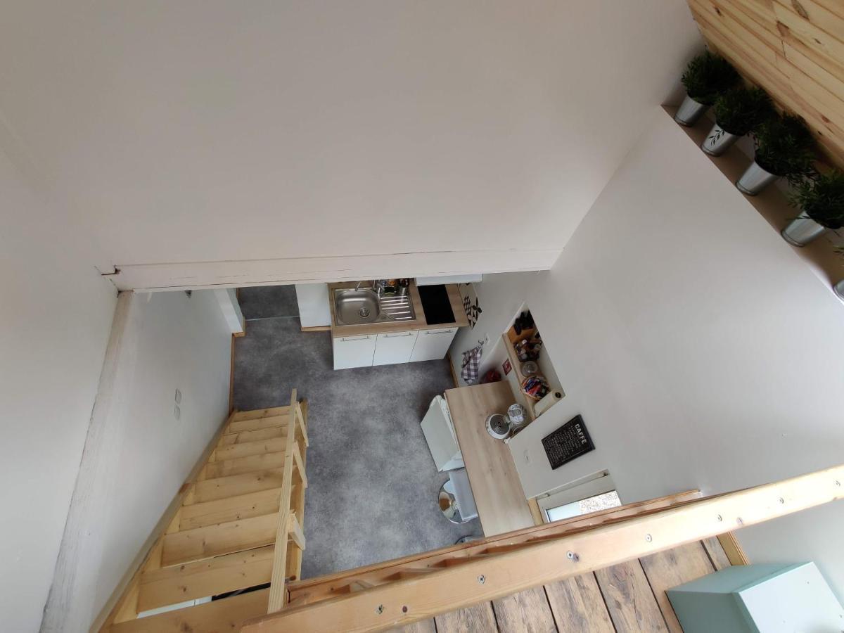 Studio Mezzanine Chez Papou, Ville Et Foret Страсбург Экстерьер фото