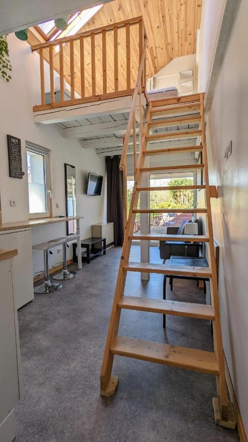 Studio Mezzanine Chez Papou, Ville Et Foret Страсбург Экстерьер фото